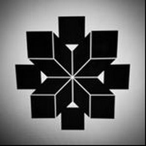 Meet your Posher, Jake